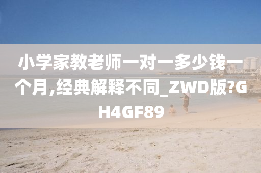 小学家教老师一对一多少钱一个月,经典解释不同_ZWD版?GH4GF89