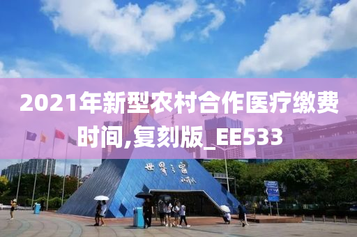 2021年新型农村合作医疗缴费时间,复刻版_EE533