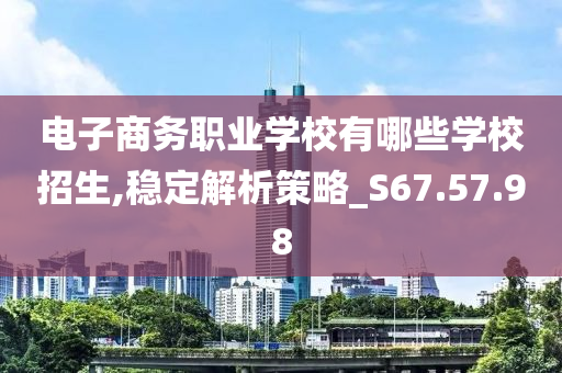 电子商务职业学校有哪些学校招生,稳定解析策略_S67.57.98