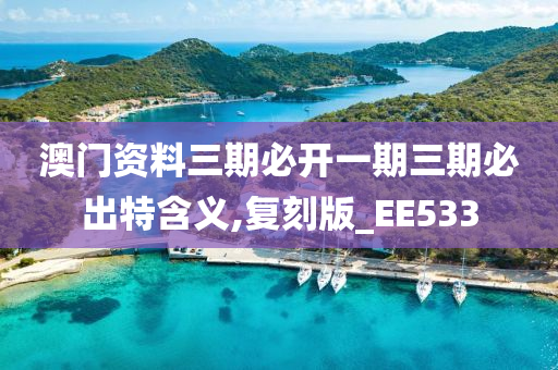 澳门资料三期必开一期三期必出特含义,复刻版_EE533