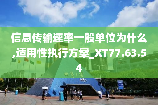 信息传输速率一般单位为什么,适用性执行方案_XT77.63.54