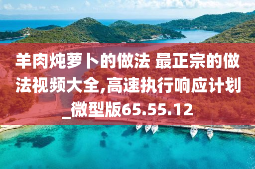 羊肉炖萝卜的做法 最正宗的做法视频大全,高速执行响应计划_微型版65.55.12