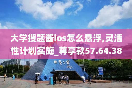 大学搜题酱ios怎么悬浮,灵活性计划实施_尊享款57.64.38