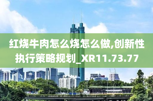 红烧牛肉怎么烧怎么做,创新性执行策略规划_XR11.73.77