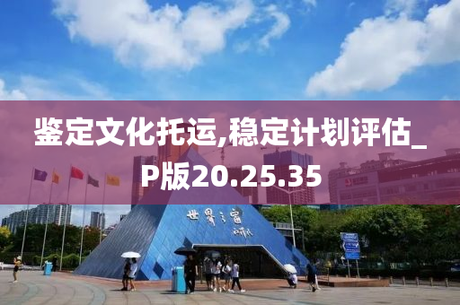 鉴定文化托运,稳定计划评估_P版20.25.35