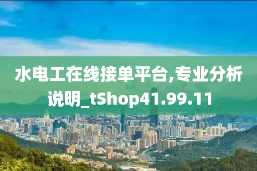 水电工在线接单平台,专业分析说明_tShop41.99.11