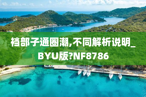 裆部子通圈潮,不同解析说明_BYU版?NF8786