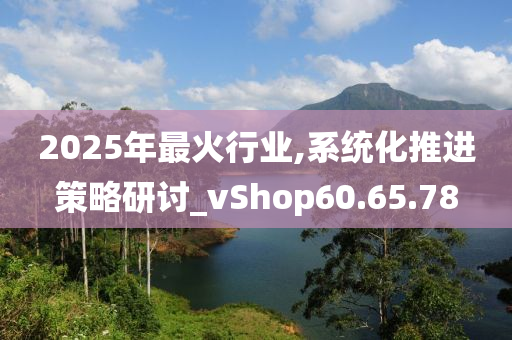 2025年最火行业,系统化推进策略研讨_vShop60.65.78