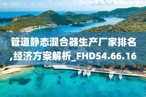 管道静态混合器生产厂家排名,经济方案解析_FHD54.66.16