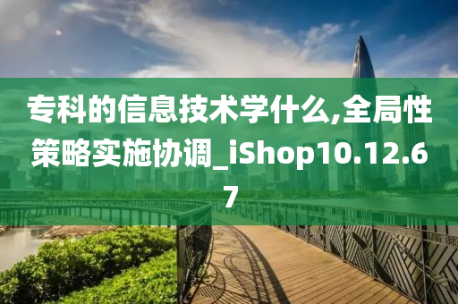 专科的信息技术学什么,全局性策略实施协调_iShop10.12.67