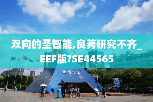 双向的圣智能,良莠研究不齐_EEF版?SE44565