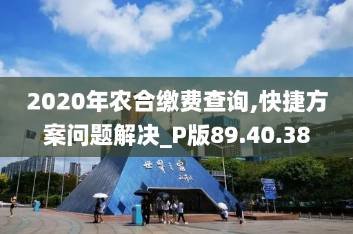 2020年农合缴费查询,快捷方案问题解决_P版89.40.38