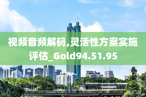 视频音频解码,灵活性方案实施评估_Gold94.51.95