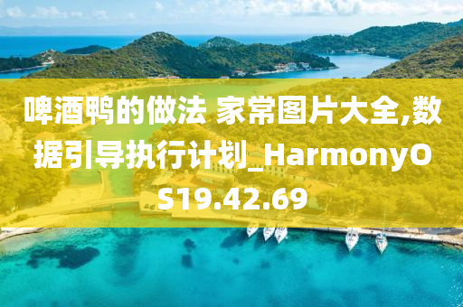 啤酒鸭的做法 家常图片大全,数据引导执行计划_HarmonyOS19.42.69