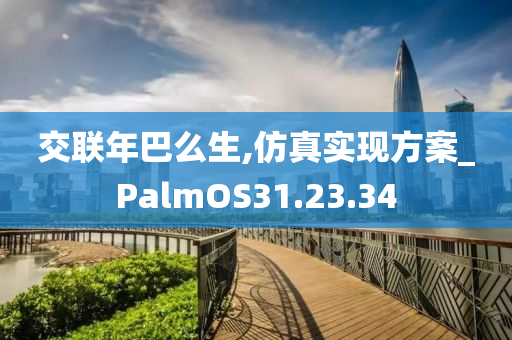 交联年巴么生,仿真实现方案_PalmOS31.23.34