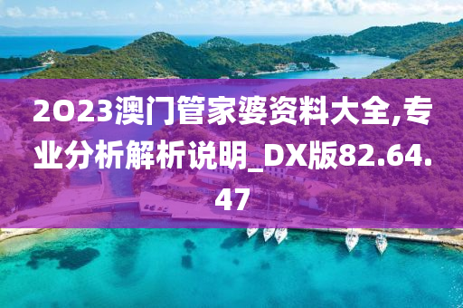 2O23澳门管家婆资料大全,专业分析解析说明_DX版82.64.47