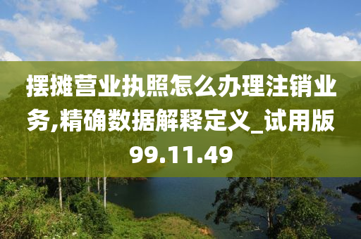 摆摊营业执照怎么办理注销业务,精确数据解释定义_试用版99.11.49