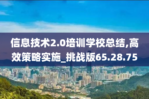 信息技术2.0培训学校总结,高效策略实施_挑战版65.28.75