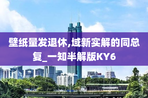 壁纸量发退休,域新实解的同总复_一知半解版KY6