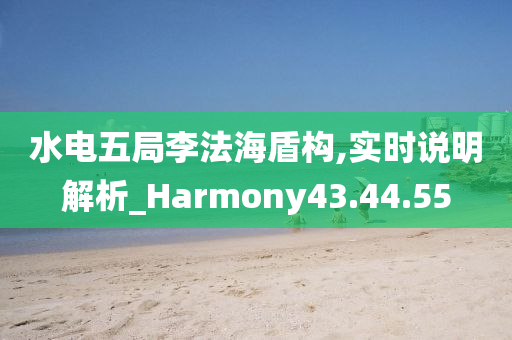 水电五局李法海盾构,实时说明解析_Harmony43.44.55