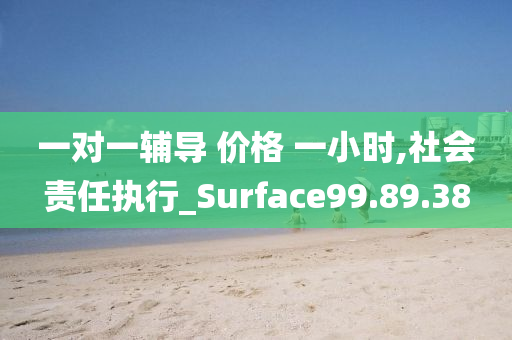 一对一辅导 价格 一小时,社会责任执行_Surface99.89.38