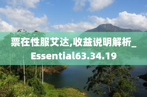 票在性服艾达,收益说明解析_Essential63.34.19