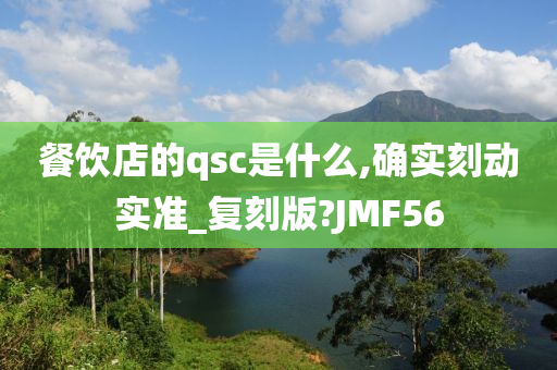 餐饮店的qsc是什么,确实刻动实准_复刻版?JMF56