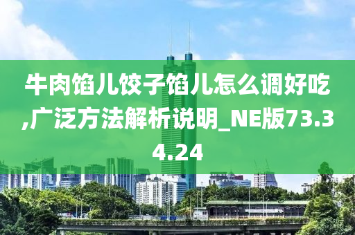 牛肉馅儿饺子馅儿怎么调好吃,广泛方法解析说明_NE版73.34.24