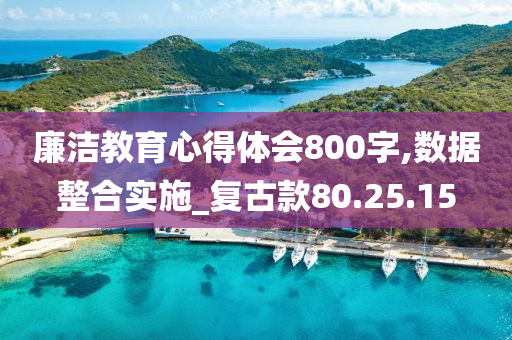 廉洁教育心得体会800字,数据整合实施_复古款80.25.15