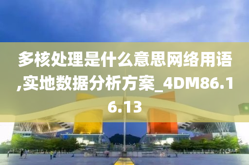 多核处理是什么意思网络用语,实地数据分析方案_4DM86.16.13