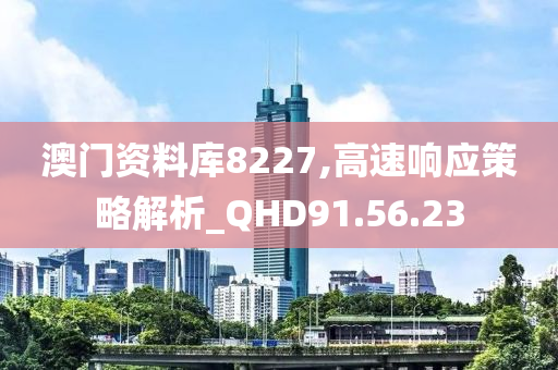 澳门资料库8227,高速响应策略解析_QHD91.56.23