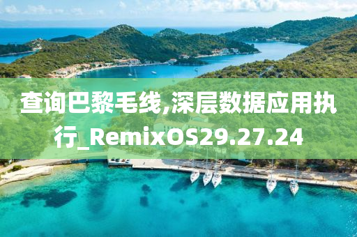 查询巴黎毛线,深层数据应用执行_RemixOS29.27.24