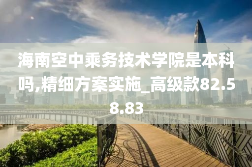 海南空中乘务技术学院是本科吗,精细方案实施_高级款82.58.83