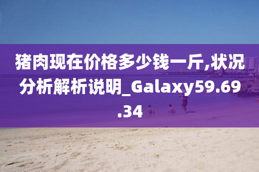 猪肉现在价格多少钱一斤,状况分析解析说明_Galaxy59.69.34