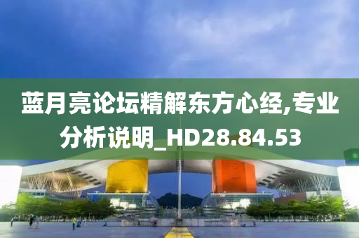 蓝月亮论坛精解东方心经,专业分析说明_HD28.84.53