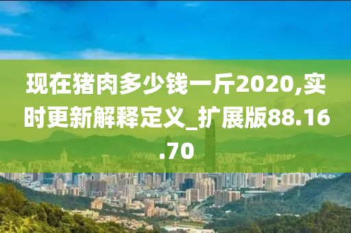 现在猪肉多少钱一斤2020,实时更新解释定义_扩展版88.16.70