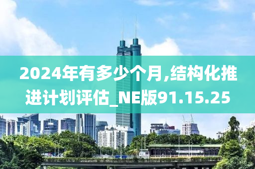 2024年有多少个月,结构化推进计划评估_NE版91.15.25