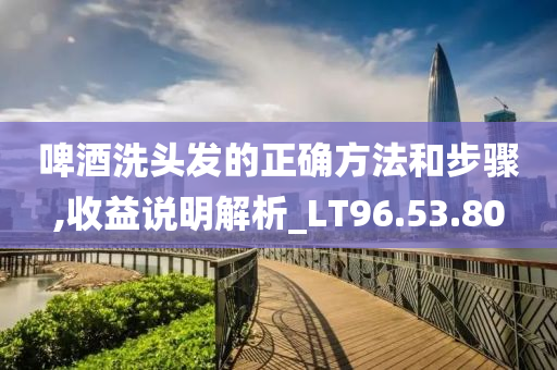 啤酒洗头发的正确方法和步骤,收益说明解析_LT96.53.80