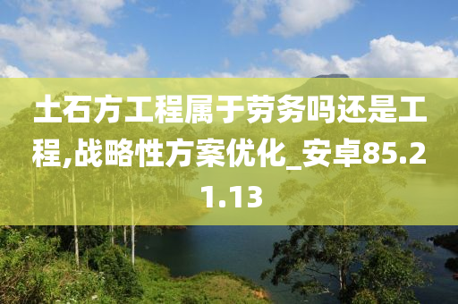 土石方工程属于劳务吗还是工程,战略性方案优化_安卓85.21.13