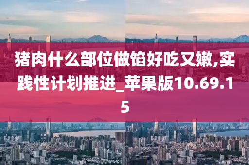 猪肉什么部位做馅好吃又嫩,实践性计划推进_苹果版10.69.15