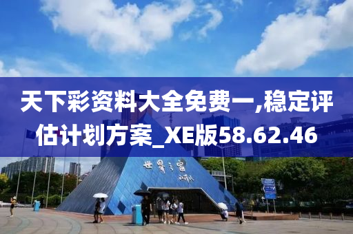 天下彩资料大全免费一,稳定评估计划方案_XE版58.62.46