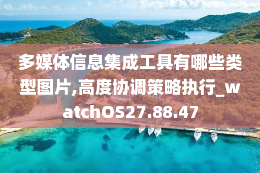 多媒体信息集成工具有哪些类型图片,高度协调策略执行_watchOS27.88.47