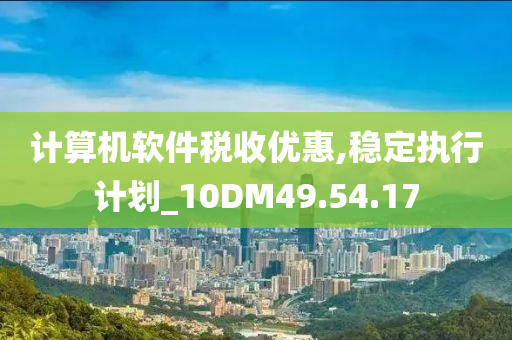 计算机软件税收优惠,稳定执行计划_10DM49.54.17