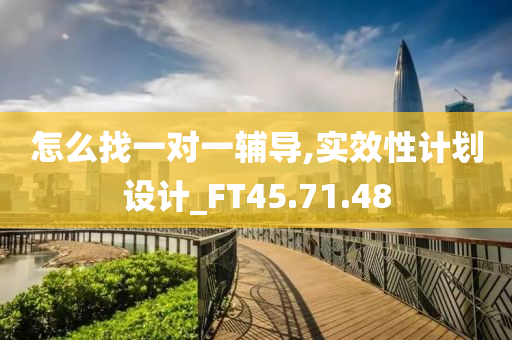 怎么找一对一辅导,实效性计划设计_FT45.71.48