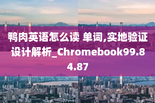 鸭肉英语怎么读 单词,实地验证设计解析_Chromebook99.84.87