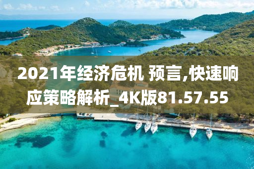 2021年经济危机 预言,快速响应策略解析_4K版81.57.55