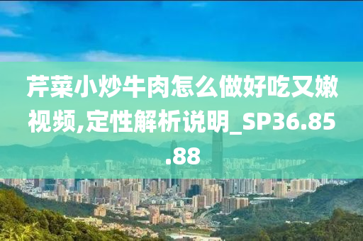 芹菜小炒牛肉怎么做好吃又嫩视频,定性解析说明_SP36.85.88