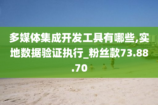 多媒体集成开发工具有哪些,实地数据验证执行_粉丝款73.88.70