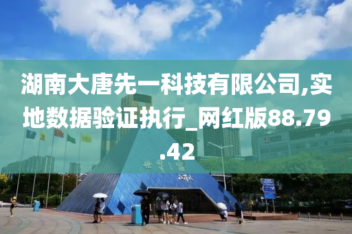 湖南大唐先一科技有限公司,实地数据验证执行_网红版88.79.42