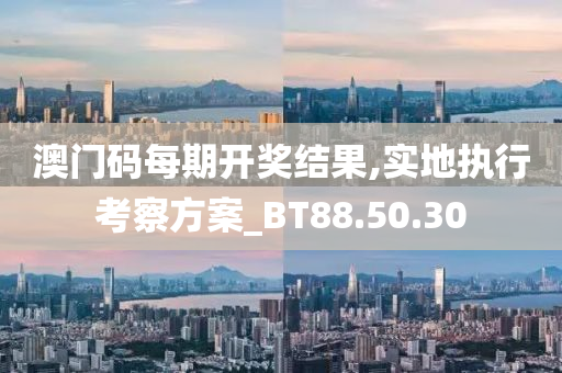 澳门码每期开奖结果,实地执行考察方案_BT88.50.30